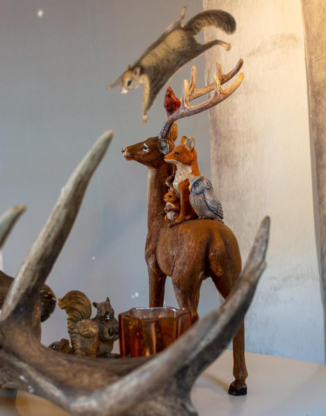 La Haute Forge Maison D'Hotes Thoiré-sur-Dinan 部屋 写真