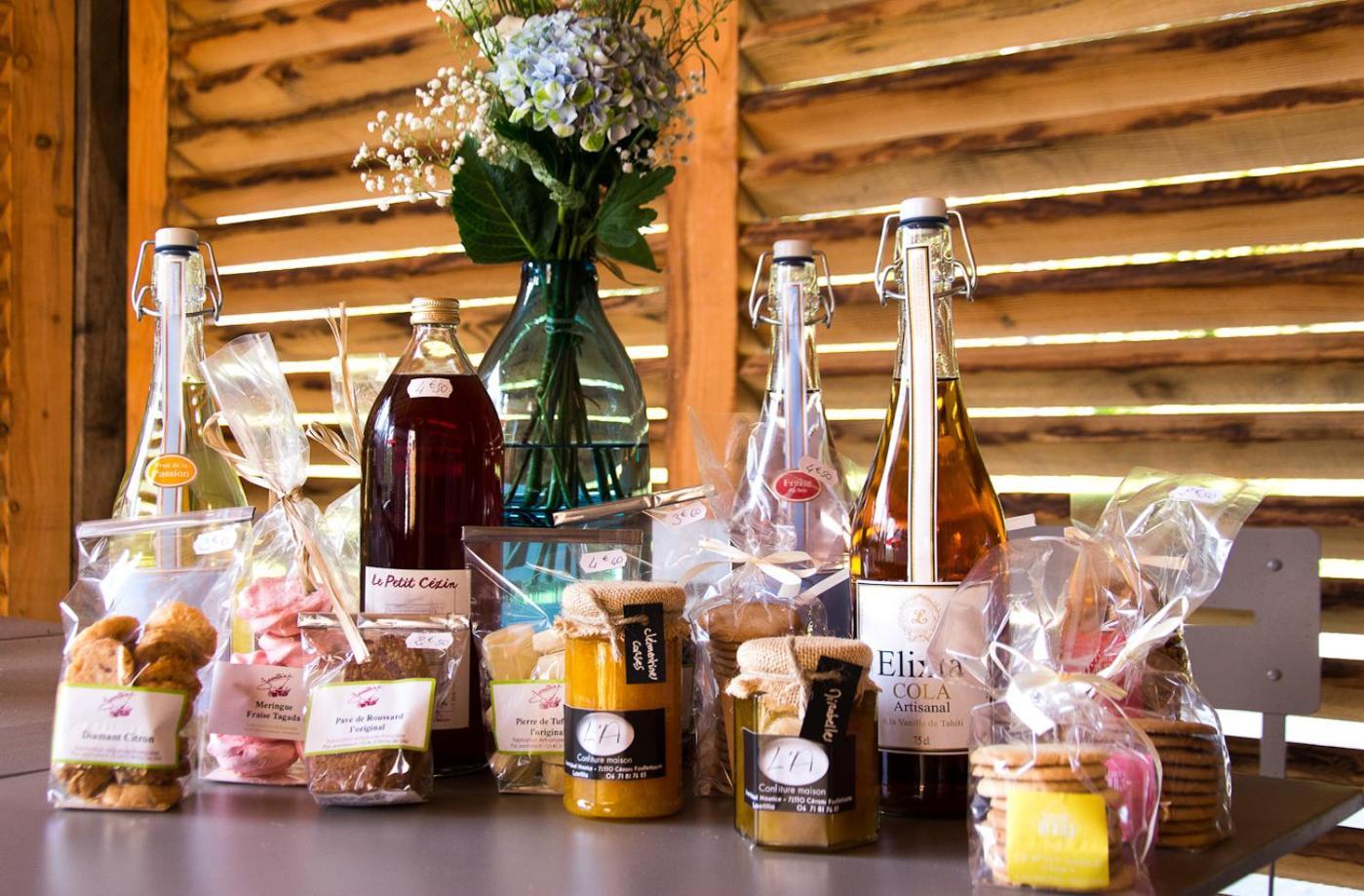 La Haute Forge Maison D'Hotes Thoiré-sur-Dinan 部屋 写真
