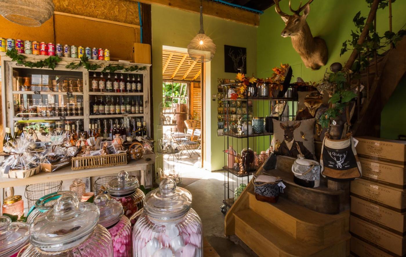 La Haute Forge Maison D'Hotes Thoiré-sur-Dinan 部屋 写真